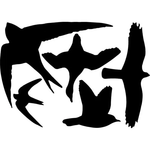 AllesTegenOngedierte.nl Raamstickers Vogel