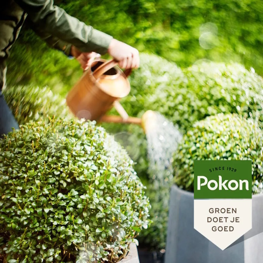 Buxus & Ilex Mest 2,5 kg | Organische korrelmest voor 65 planten