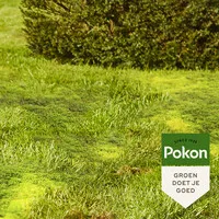 Mosbestrijder met gazonmest 5,25 kg voor 150 m²