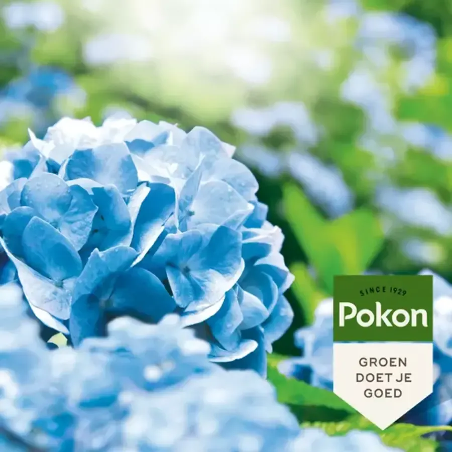 Hortensia Blauwmaker voor blauwe hortensia’s 500 gram