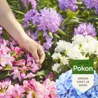 Rodo, Hortensia & Azalea Mest 1 kg | 120 dagen voeding