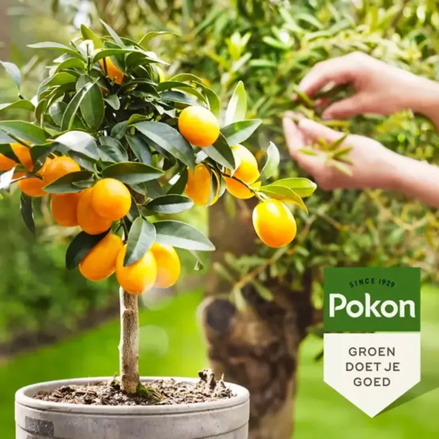 Biologische Mediterrane Planten Voeding 500 ml | 100% plantaardig