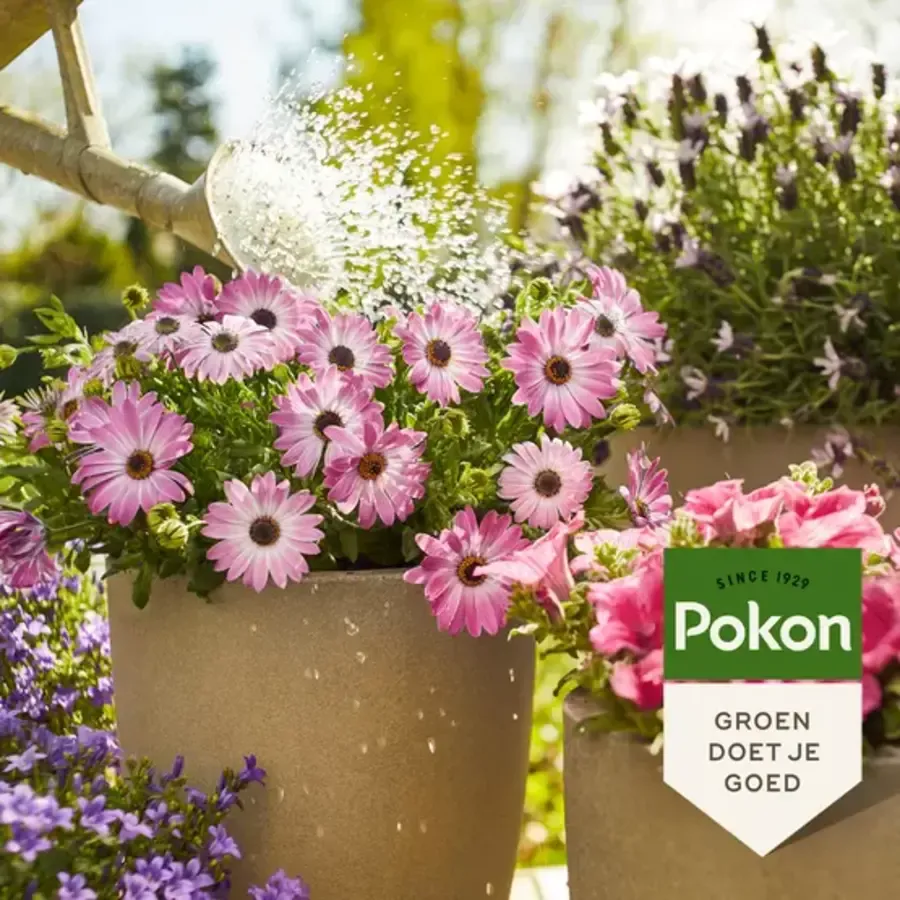 Terras & Balkon Planten Voeding 1L | Voor uitbundige bloei en diepgroen blad