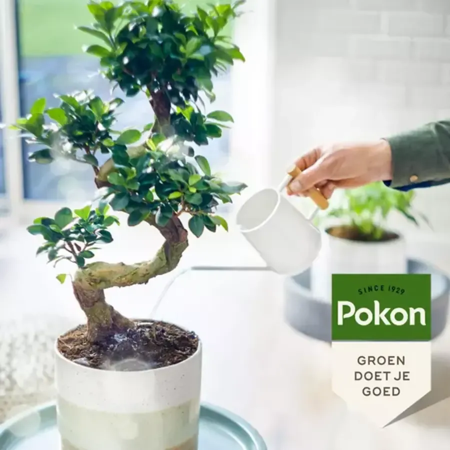 Bio Bonsai Voeding 250 ml | Plantaardige voeding voor sterke bonsai