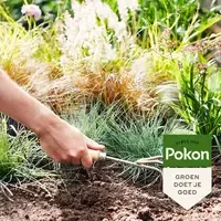 Siergrassen & Bamboe Mest 1 kg | 3-in-1 organische meststof | 120 dagen voeding