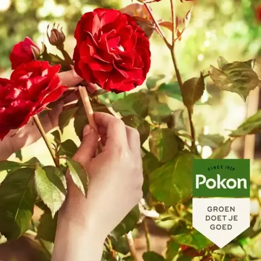 Rozen Mest 1 kg | 3-in-1 voeding, bodemverbeteraar en plantversterker