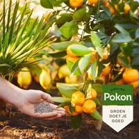 Mediterrane Planten Mest 1 kg | 120 dagen voeding voor palm, olijf, citrus en vijg