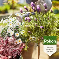 Biologische Terras & Balkon Plantenvoeding 1 Liter | Voor Rijke Bloei