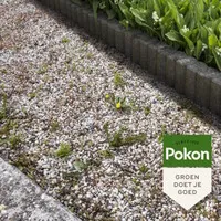 Tegen Onkruid Concentraat 225 ml | Voor 100 m²
