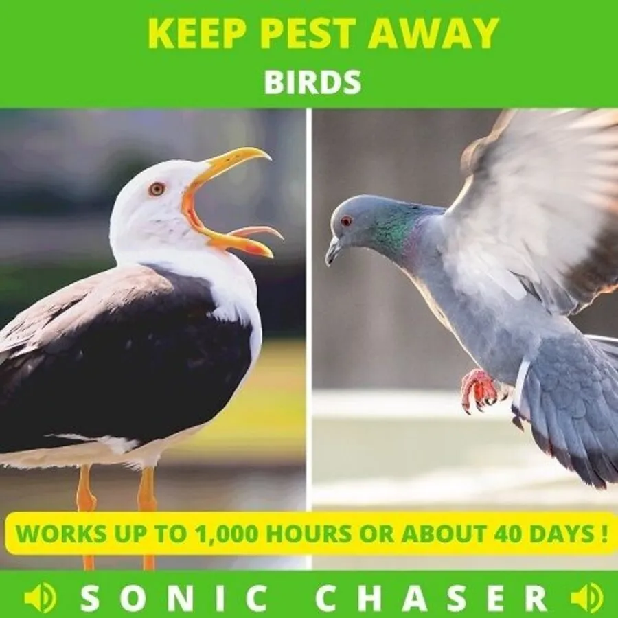 Duivenverjager voor balkon en vensterbank WK0021 | hoorbaar geluid | bereik 20–40 m²