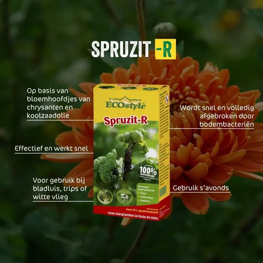 Spruzit-R concentraat - effectief gewasbeschermingsmiddel voor bladluis, trips en witte vlieg op sierplanten binnen en buiten