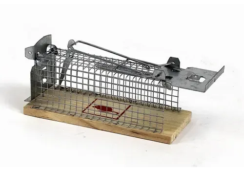 AllesTegenOngedierte.nl Muizen vangkooi met houten bodem