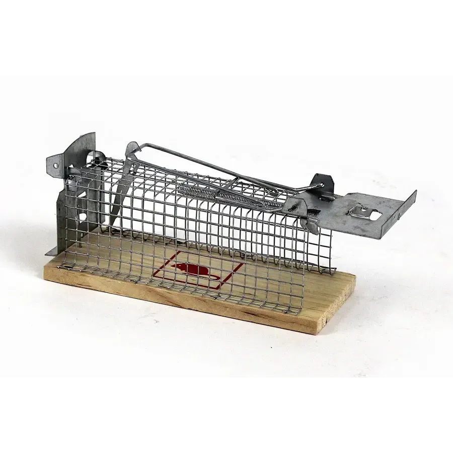 Muizen vangkooi met houten bodem | levend vangende muizenkooi