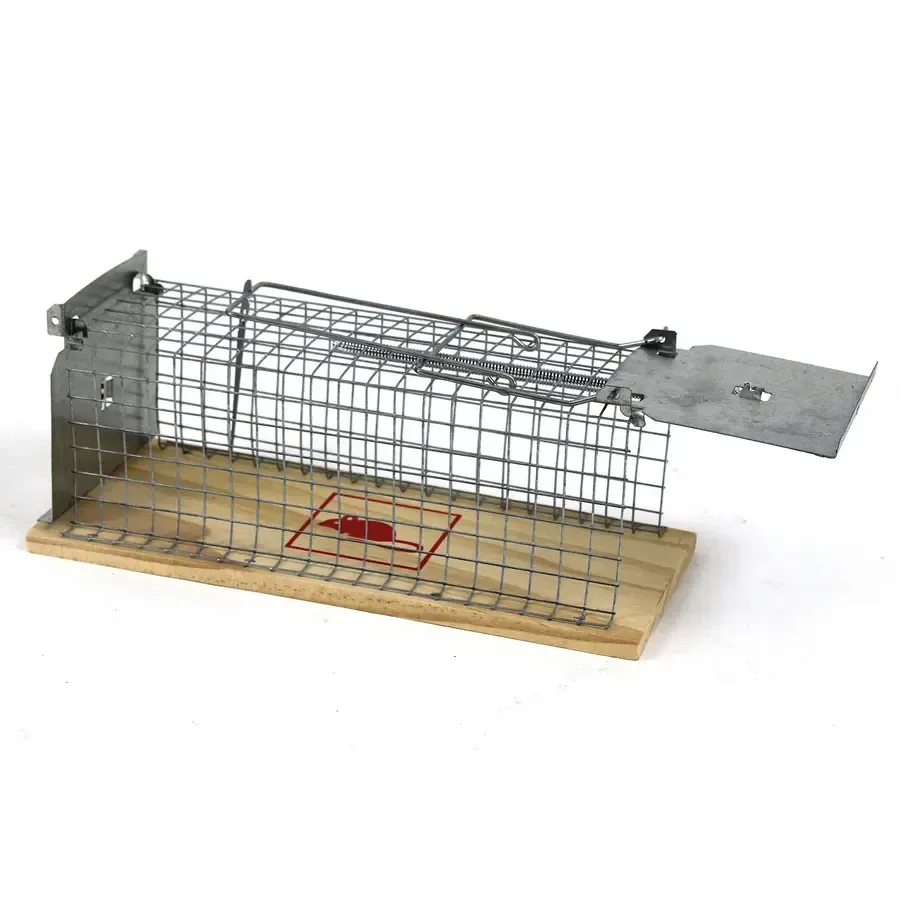 Ratten vangkooi met houten bodem | levend vangende rattenkooi