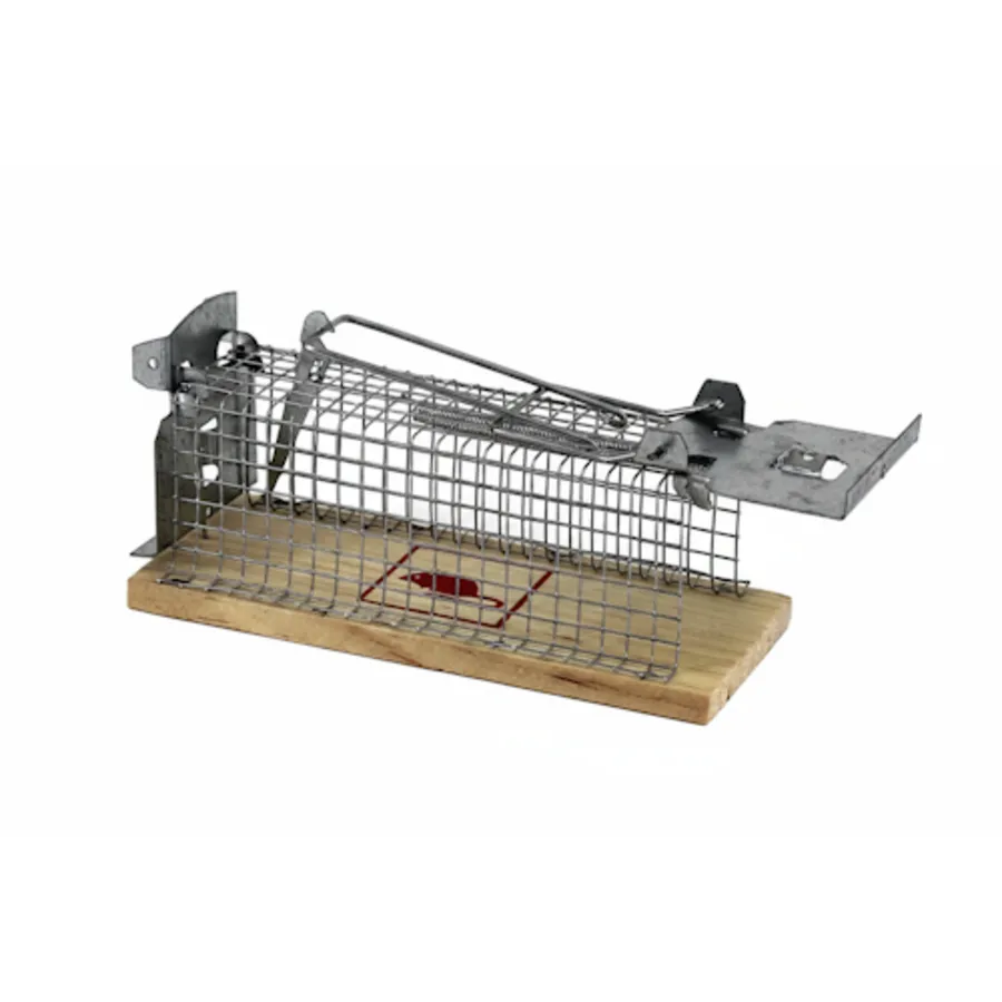 Muizen vangkooi met houten bodem 12 x 5,5 x 5,5 cm | levend muizen vangen