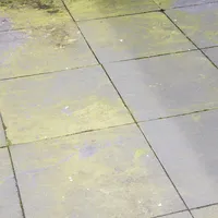 Groene aanslag reiniger kant-en-klaar 5 liter | voor terras, oprit en schutting