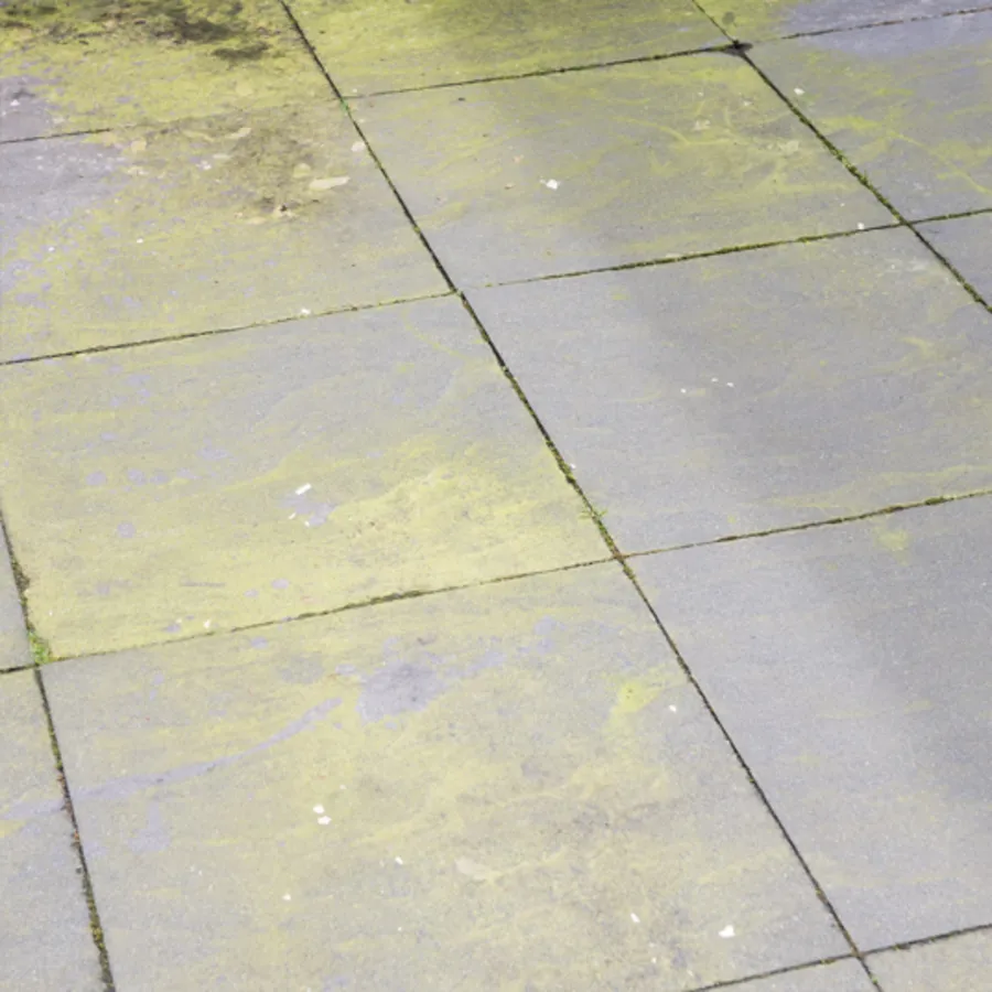 Groene aanslag reiniger kant-en-klaar 5 liter | voor terras, oprit en schutting