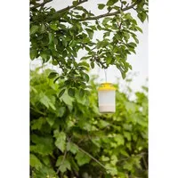 Vliegenval FlyCage3 met natuurlijke lokstof | navulbaar | buitengebruik