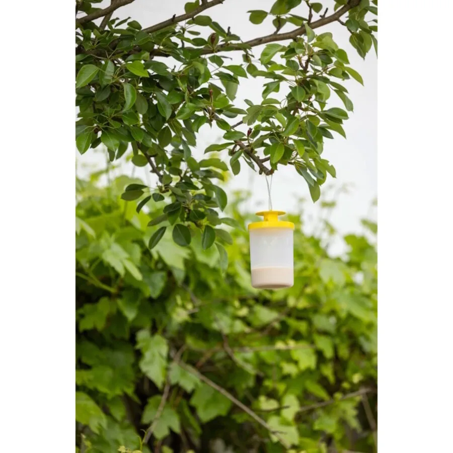 Vliegenval FlyCage3 met natuurlijke lokstof | navulbaar | buitengebruik