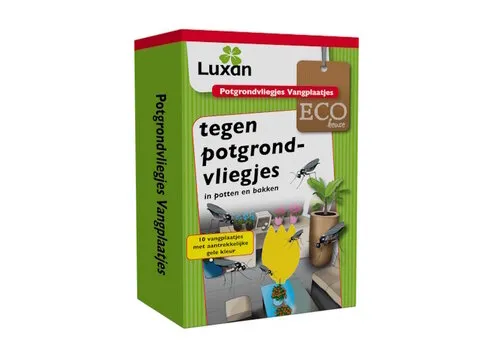 Luxan Potgrondvliegjes vangplaatjes 10 stuks