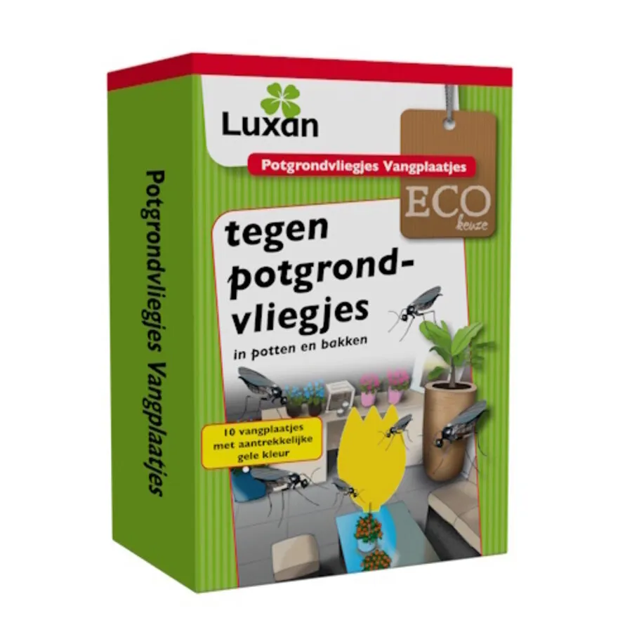 Potgrondvliegjes vangplaatjes 10 stuks | gele lijmplaatjes 20 x 10 cm voor kamerplanten