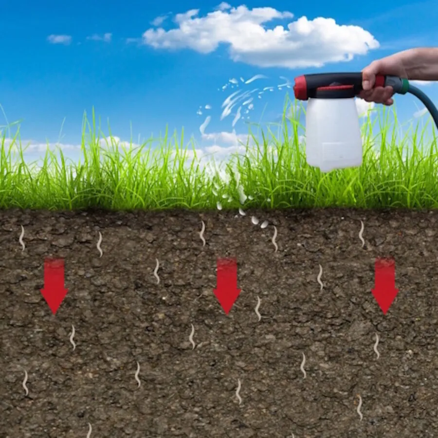 Nema-T Bag Capsa aaltjes tegen engerlingen en bodeminsecten | 2 T-Bags voor 100 m²
