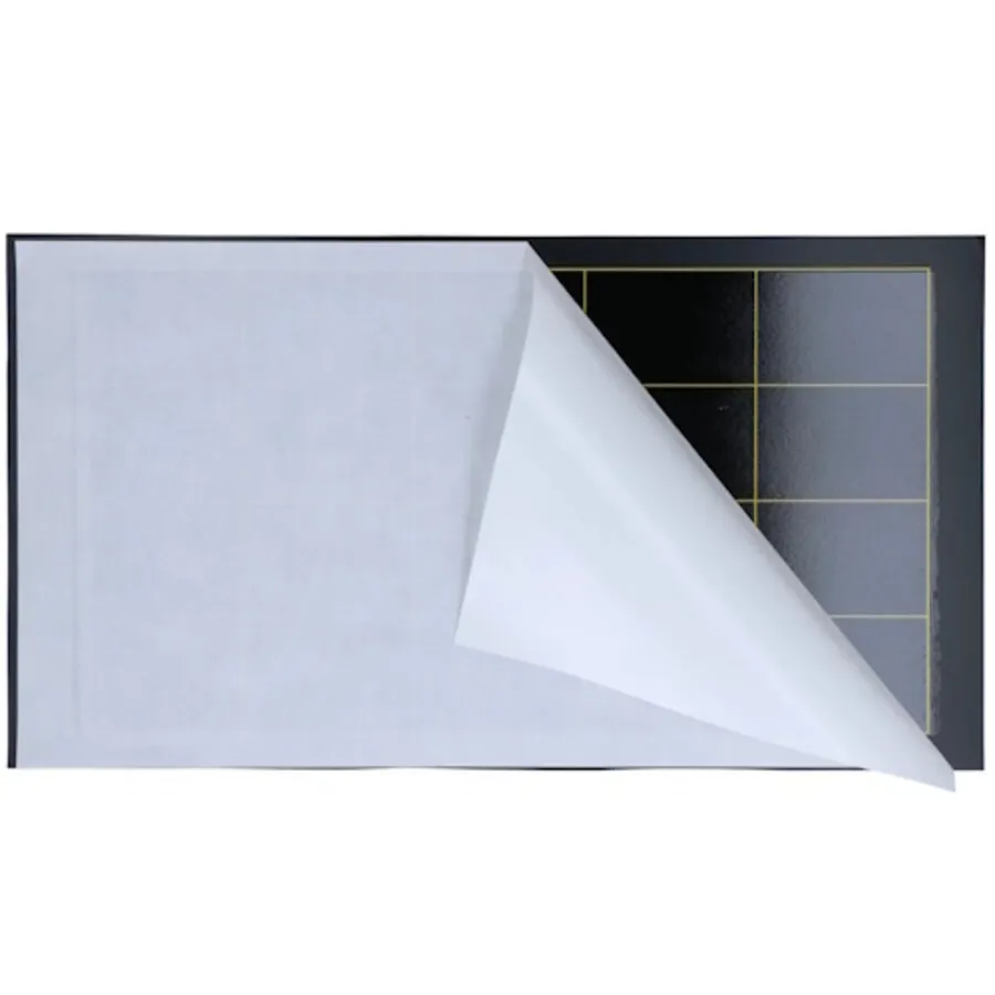Lijmplaten voor LED 60 vliegenlamp 10 stuks | 42 x 23 cm