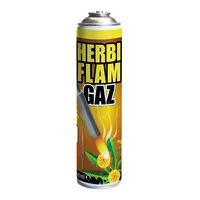 Gaspatroon voor onkruidbrander 600 ml | 30% propaan en 70% butaan