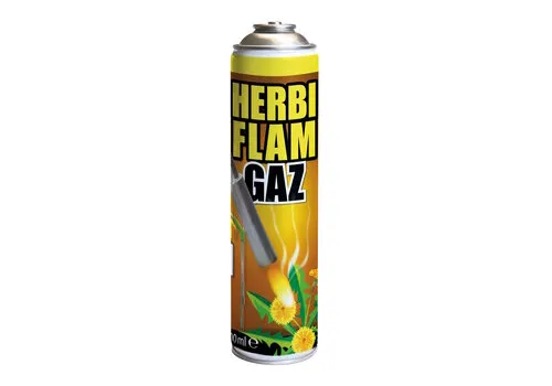 BSI Gaspatroon voor onkruidbrander 600 ml