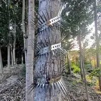 Anti-klim spike strip RVS 1 meter | voorkomt opklimmen door ratten en andere klimmers