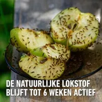 Fruitvliegenval met natuurlijke lokstof | tot 6 weken werking