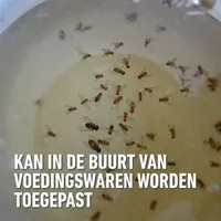 Fruitvliegenval met natuurlijke lokstof | tot 6 weken werking