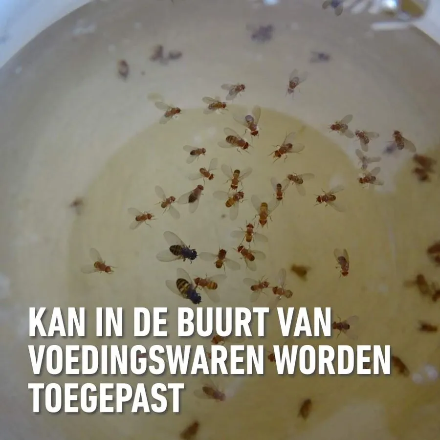 Fruitvliegenval met natuurlijke lokstof | tot 6 weken werking