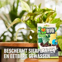 Gele en blauwe sticky traps voor plantinsecten | 10 stuks