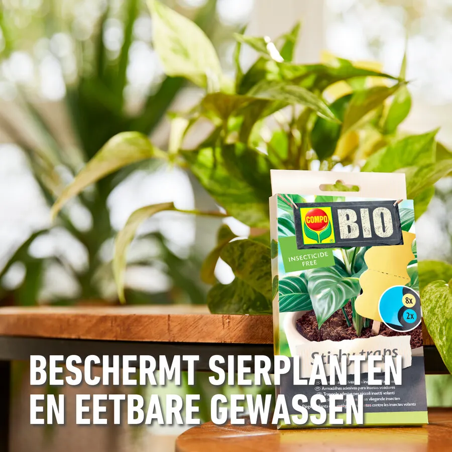 Gele en blauwe sticky traps voor plantinsecten | 10 stuks