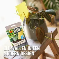 Gele en blauwe sticky traps voor plantinsecten | 10 stuks
