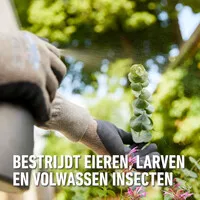 Insectenbestrijder concentraat op basis van koolzaadolie 250 ml