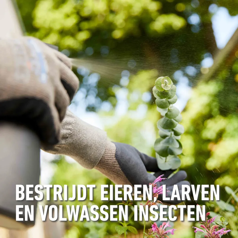 Insectenbestrijder concentraat op basis van koolzaadolie 250 ml