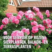 Gebruiksklare schimmelspray voor rozen en sierplanten 750 ml