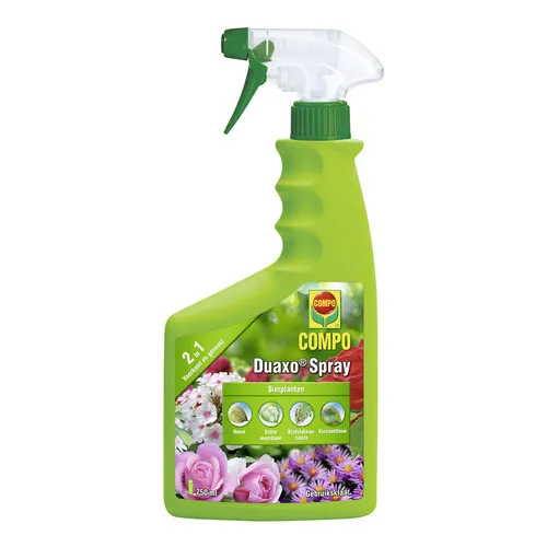 COMPO Schimmelspray voor sierplanten 750 ml