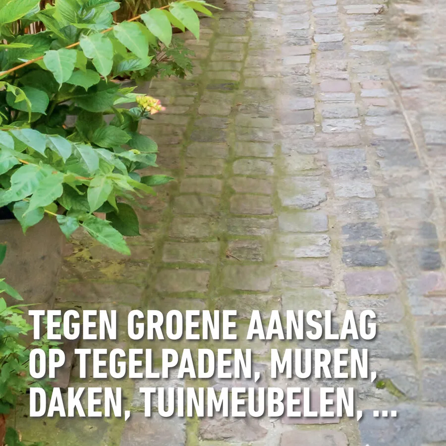Groenreiniger Concentraat | tegen groene aanslag