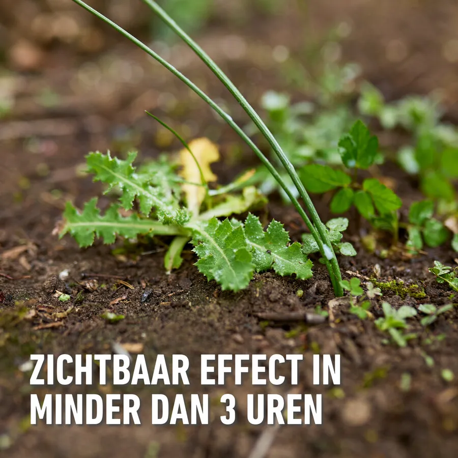 Herbistop Ultra Alle Oppervlakken 500 ml | onkruid- en mosbestrijder