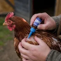 Luis-Worm druppels 10 ml tegen luizen mijten en lichte worminfecties bij vogels en knaagdieren