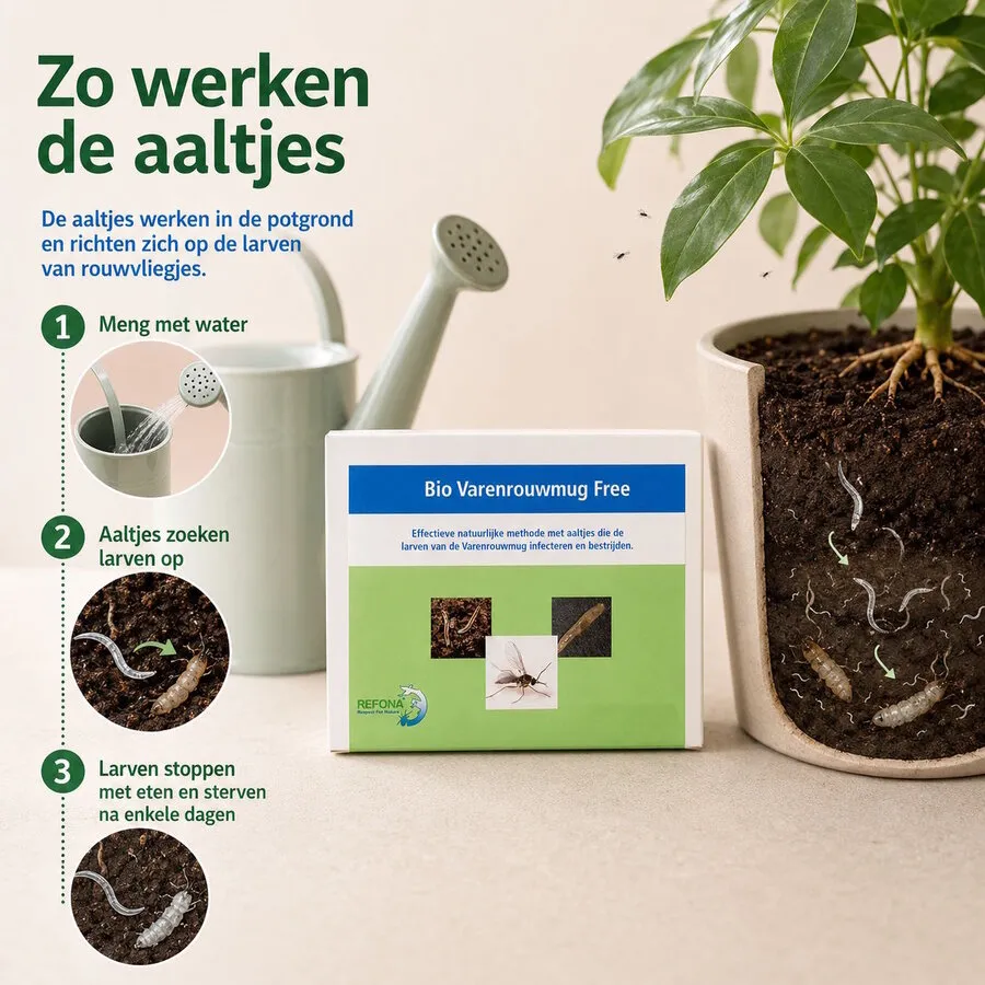 Aaltjes tegen rouwvliegjes en potgrondvliegjes