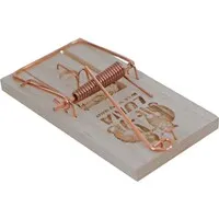 Houten muizenval met metalen klem 9,5 x 4,5 cm