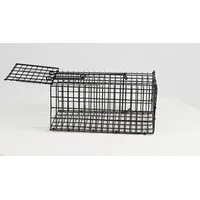 Rattenvangkooi middelgroot 24 x 12,5 x 11 cm | levend vangen
