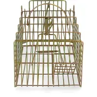 Inloopval voor ratten 36 x 18 x 12 cm | levend meerdere ratten vangen