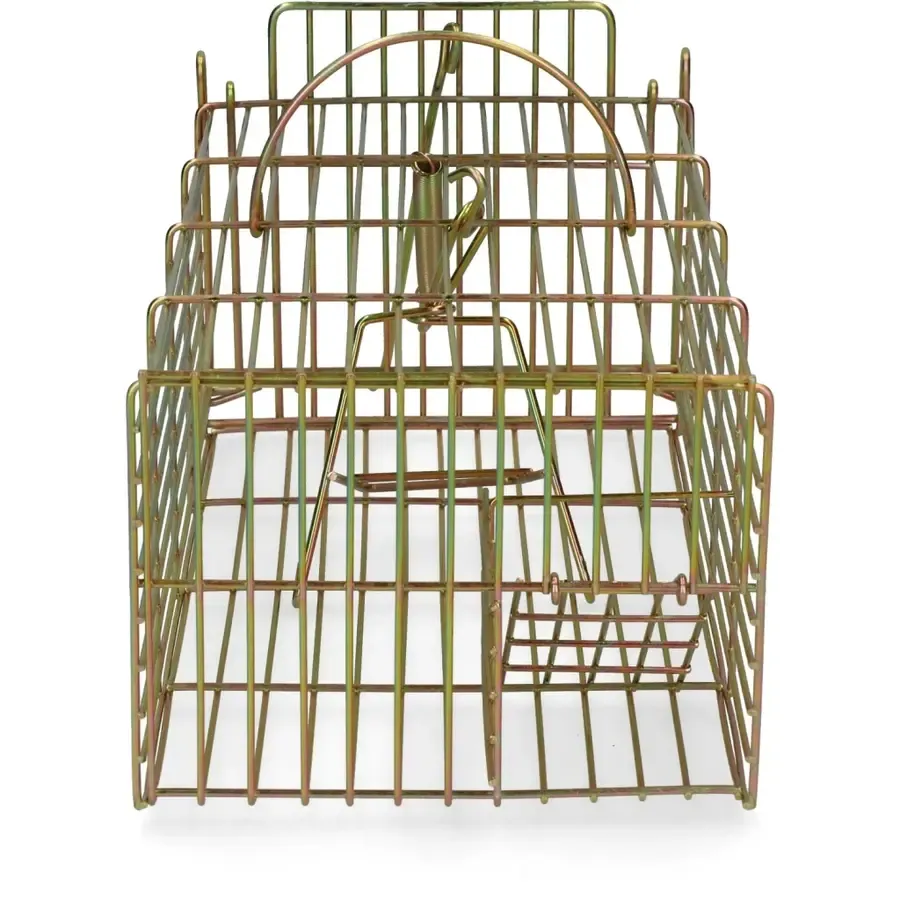 Inloopval voor ratten 36 x 18 x 12 cm | levend meerdere ratten vangen