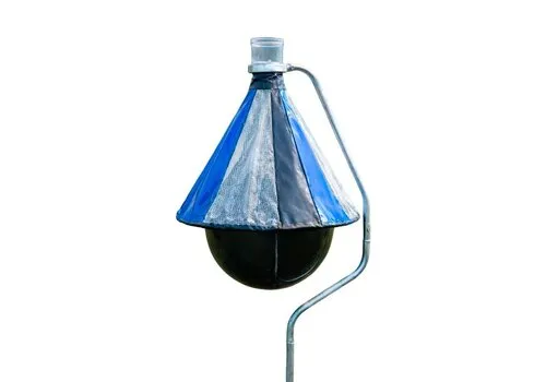 Insective Dazenval H-Trap