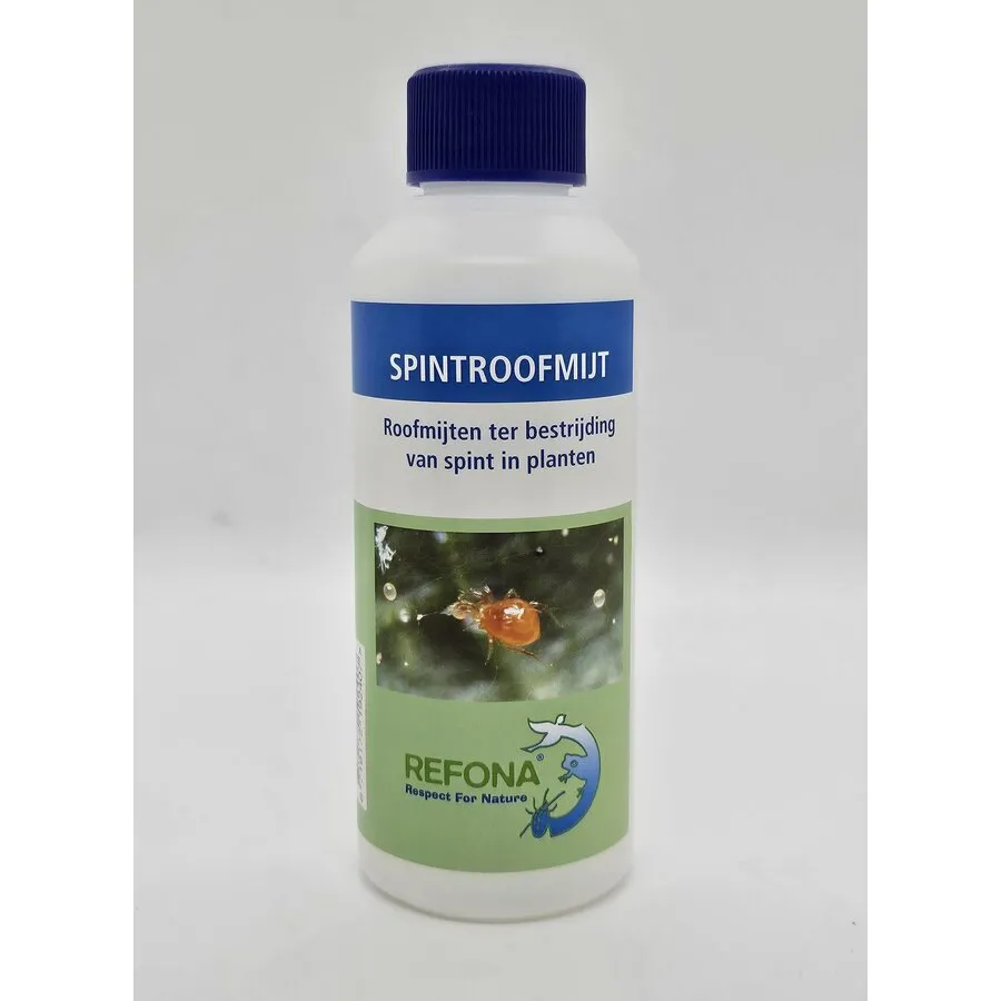 Roofmijten tegen spint 1.000 stuks | biologische bestrijding voor planten